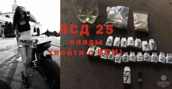ГАЛЛЮЦИНОГЕННЫЕ ГРИБЫ Алзамай