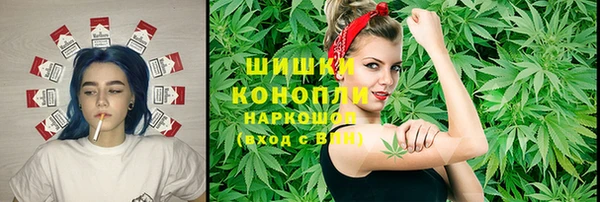 ГАЛЛЮЦИНОГЕННЫЕ ГРИБЫ Алзамай