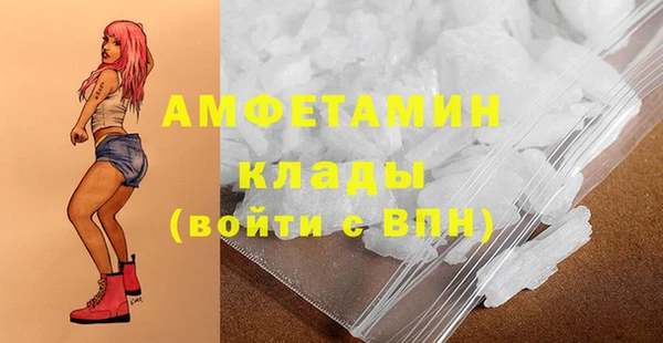 ГАЛЛЮЦИНОГЕННЫЕ ГРИБЫ Алзамай